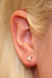 Ear Gauges